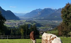 foto 18.10.21  11 15