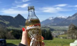 tirolkreis reise 2025 impressionen